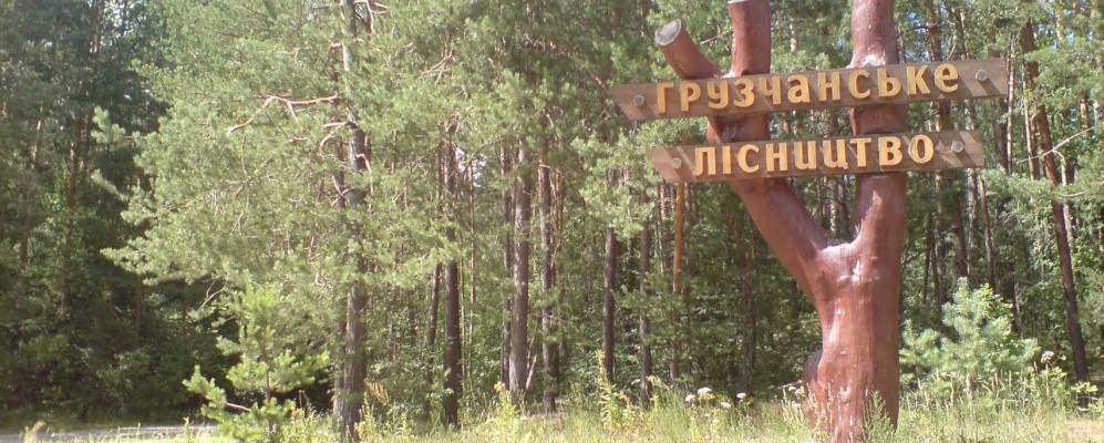 
            Фотография Папкино