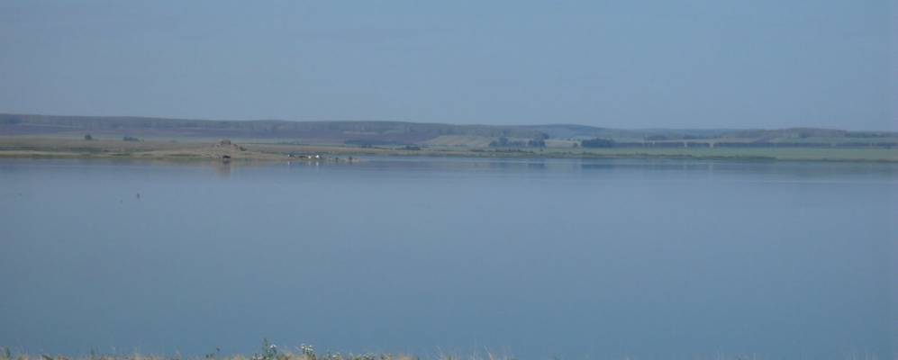 
            Фотография Барсуков