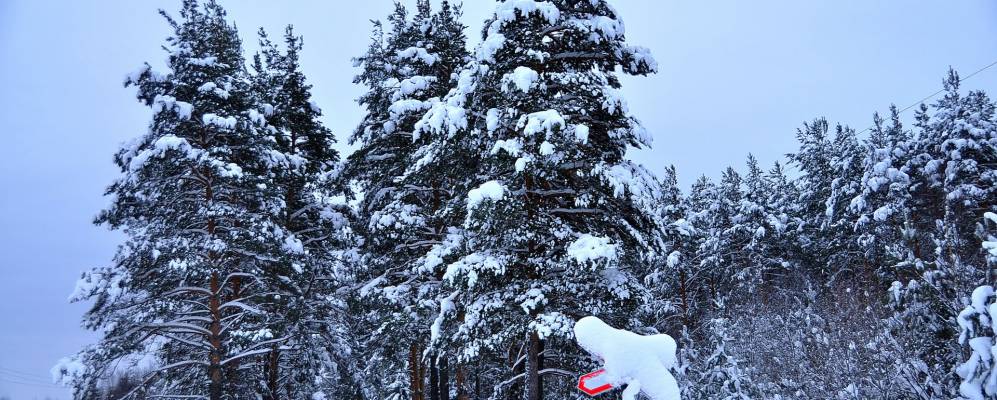 Фотография Ольховки