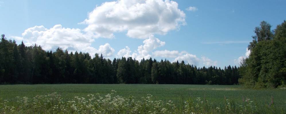 
            Фотография Григоровка-1