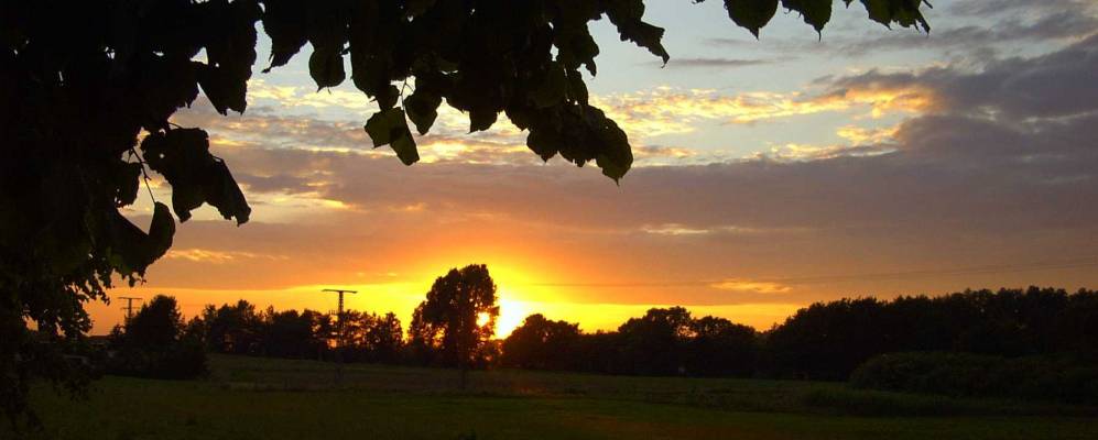 
            Фотография Rambin