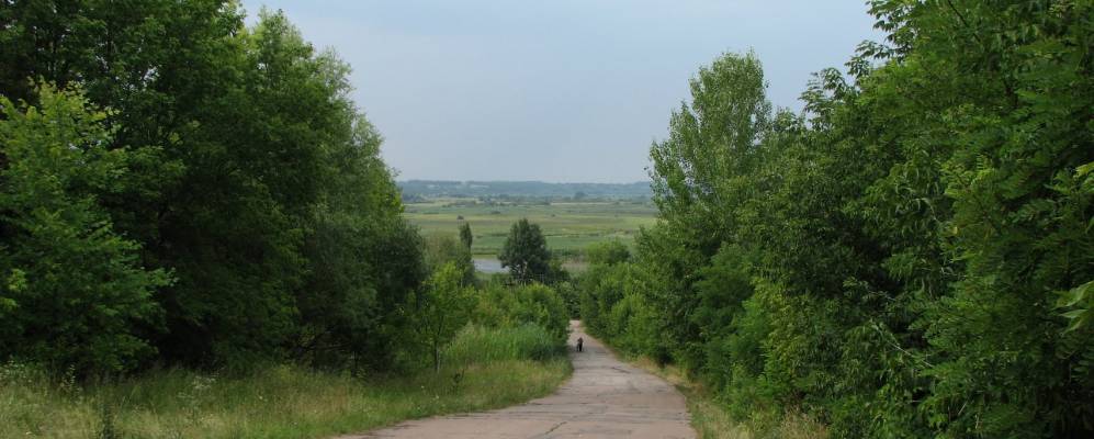 
            Фотография Гонцы