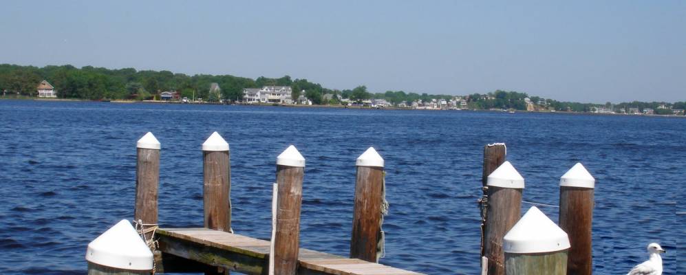 
            Фотография Бичвуда