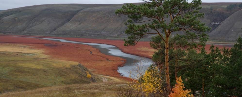 
            Фотография Макаровской