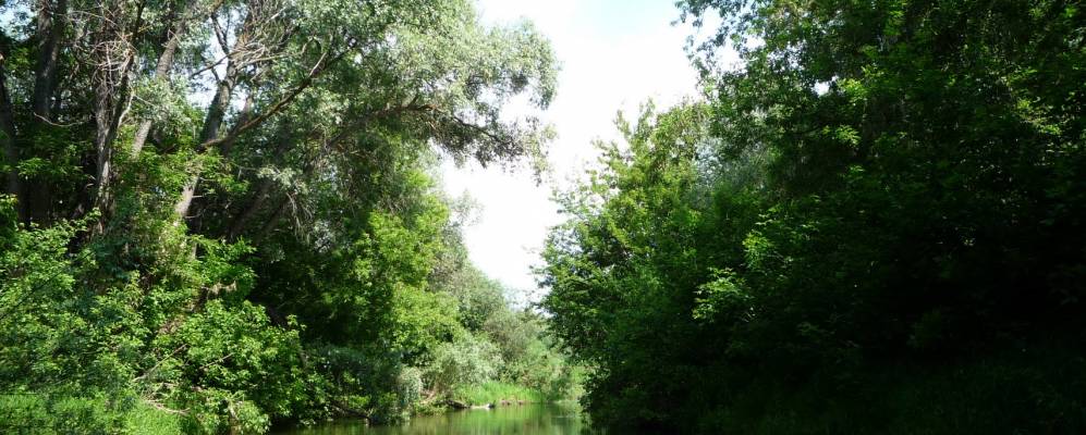 
            Фотография Ягубовки