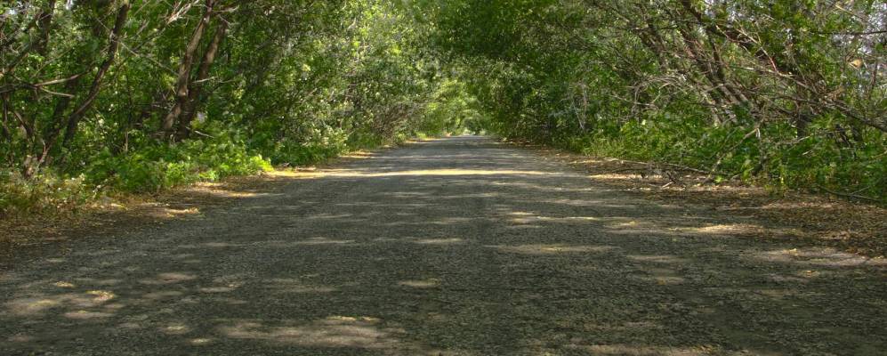 
            Фотография Мирного