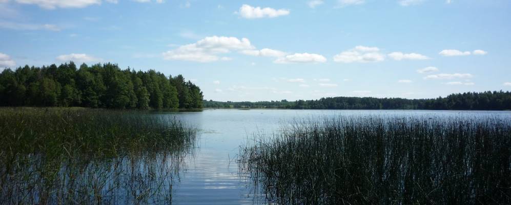 
            Фотография Макарово