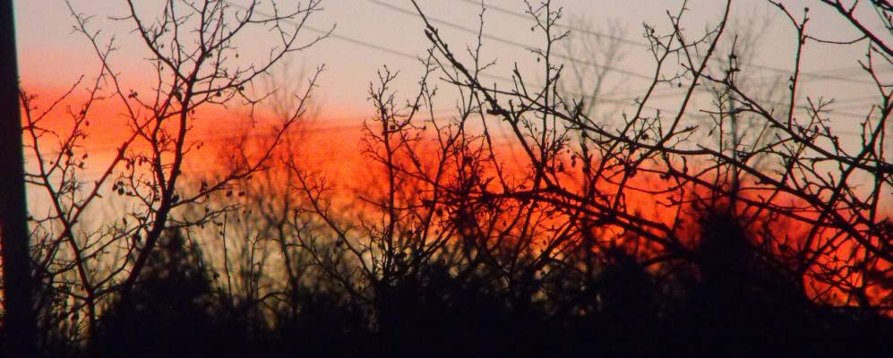 
            Фотография Ясенки