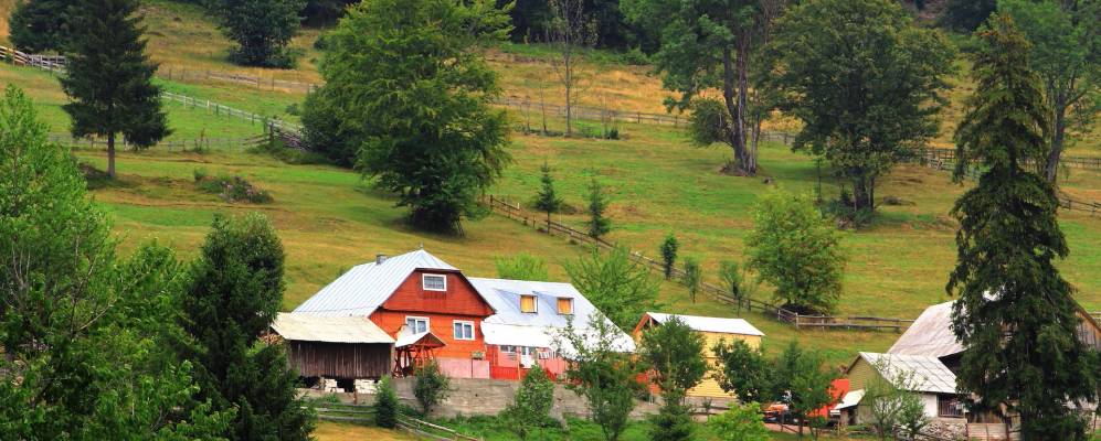 
            Фотография Бубешти