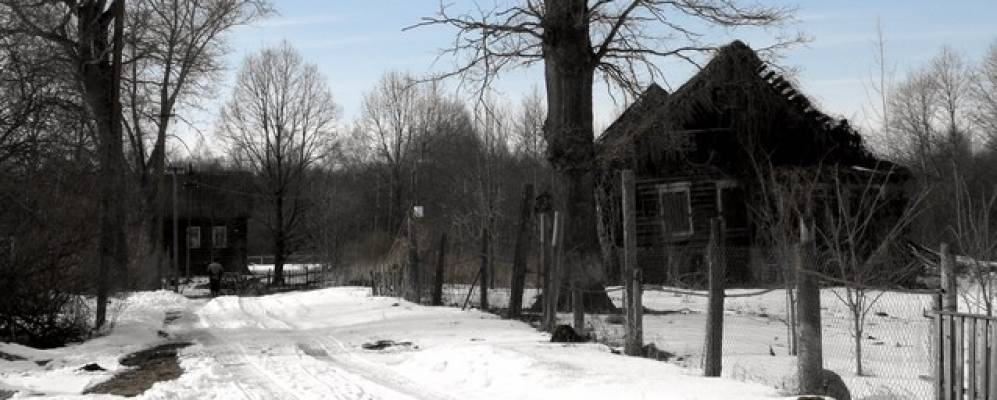 
            Фотография Хвоенки