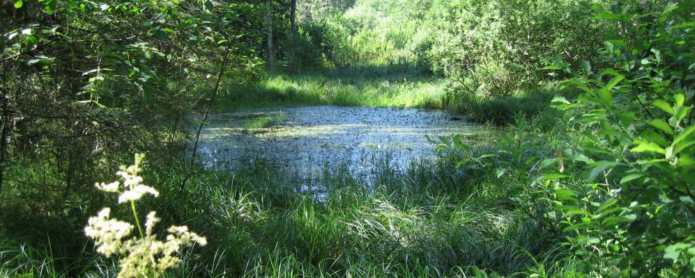 
            Фотография деревни Выдры