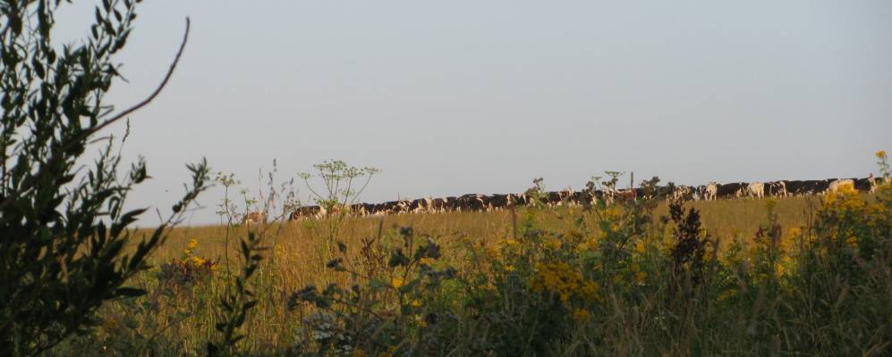 
            Фотография Митякино