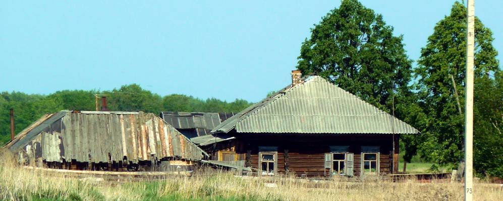 
            Фотография Пиневки
