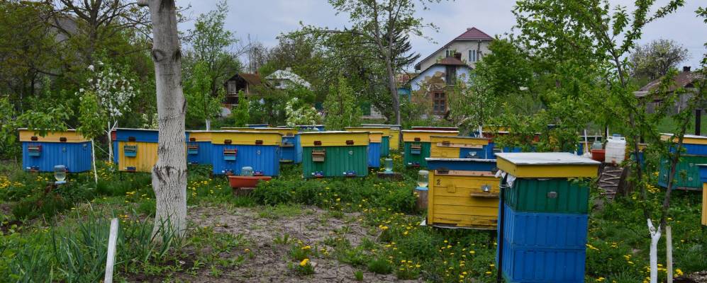 
            Фотография Констанции