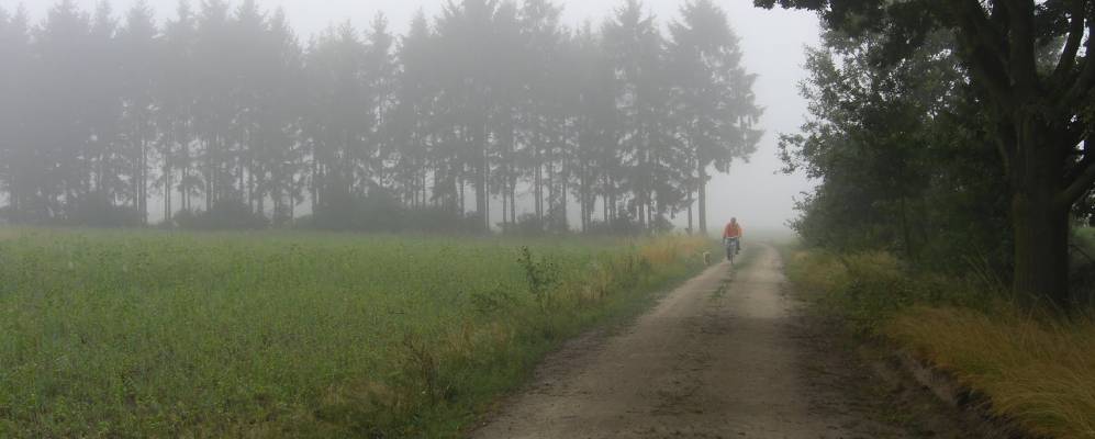 
            Фотография Швармштедта