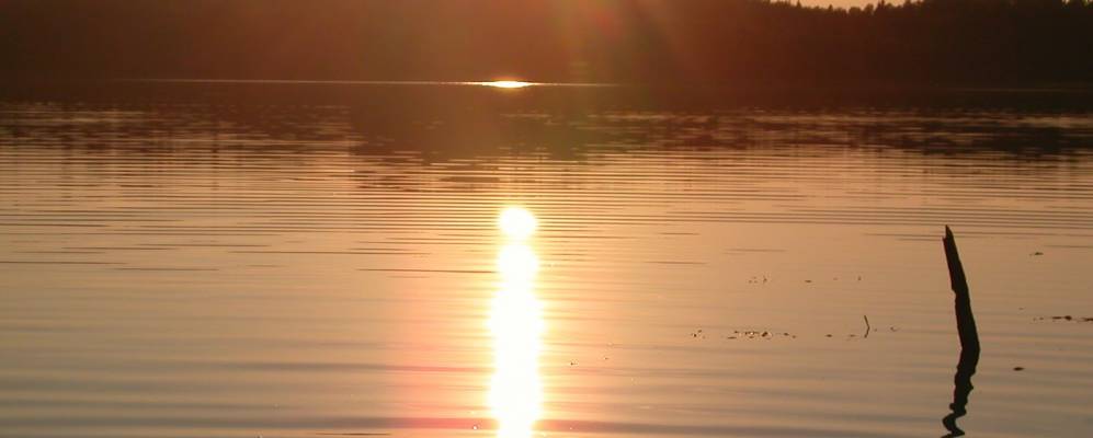 Фотография Шумихей