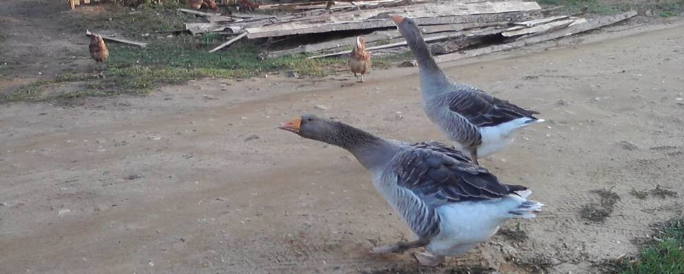 Фотография Якимово