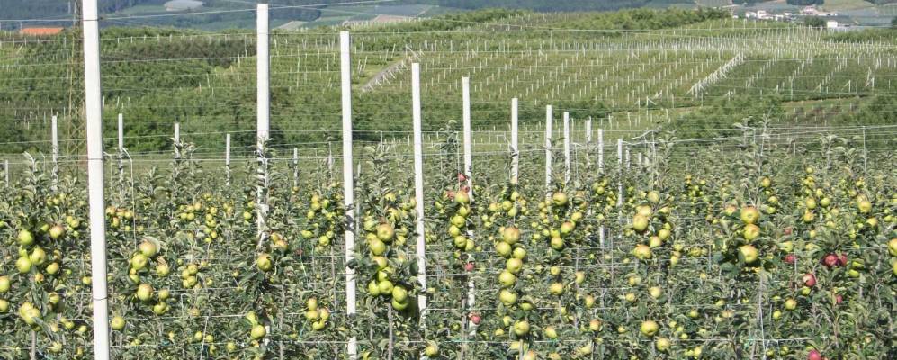 
            Фотография Кунево