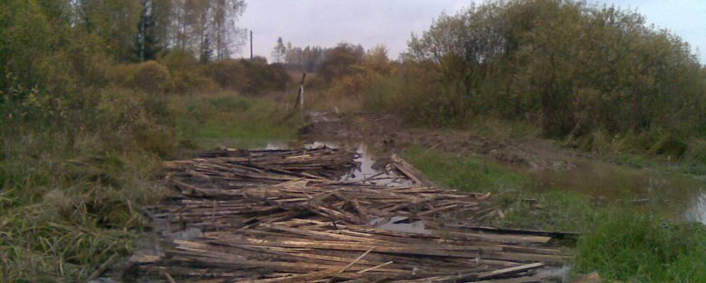 
            Фотография Давоватки