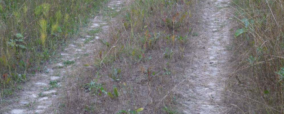 Фотография Карачуново