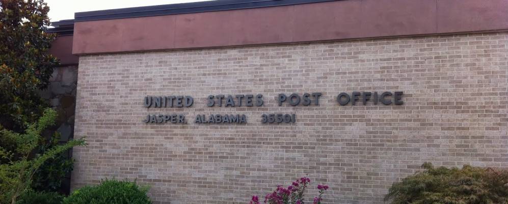 
            Фотография Джаспера