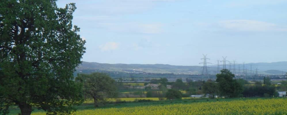 
            Фотография Ассироса