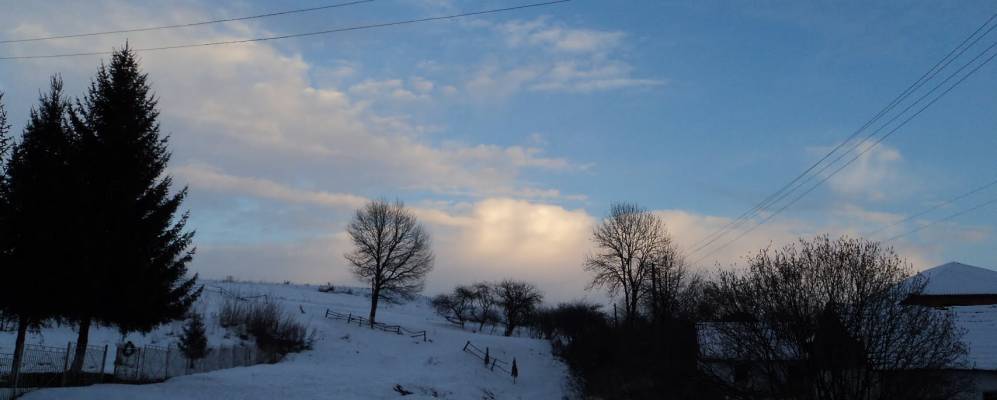 
            Фотография Куряны