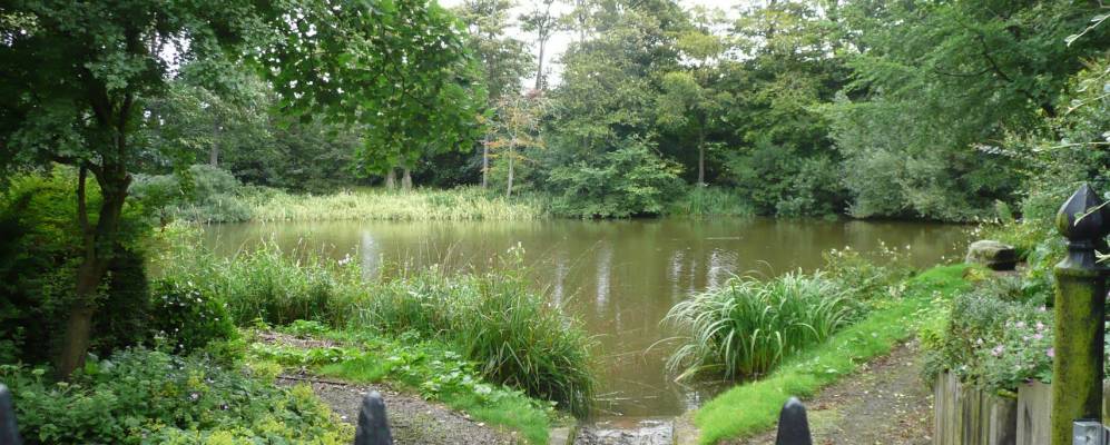 
            Фотография Флитвуда