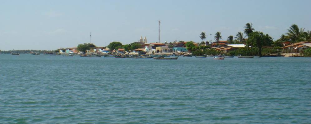 
            Фотография Piaçabuçu