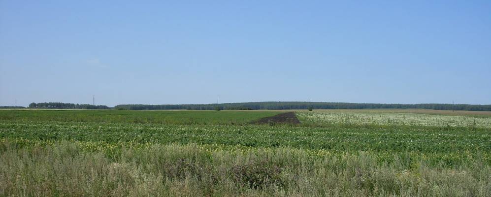 
            Фотография Бобровки