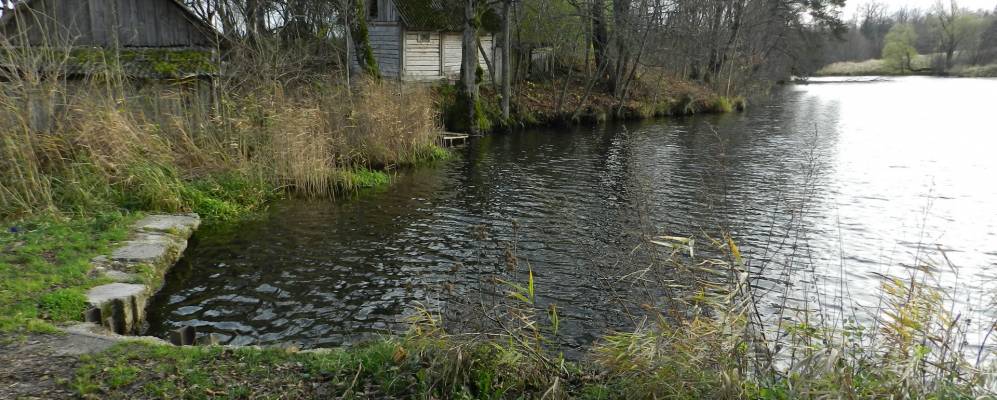 
            Фотография Валдайского