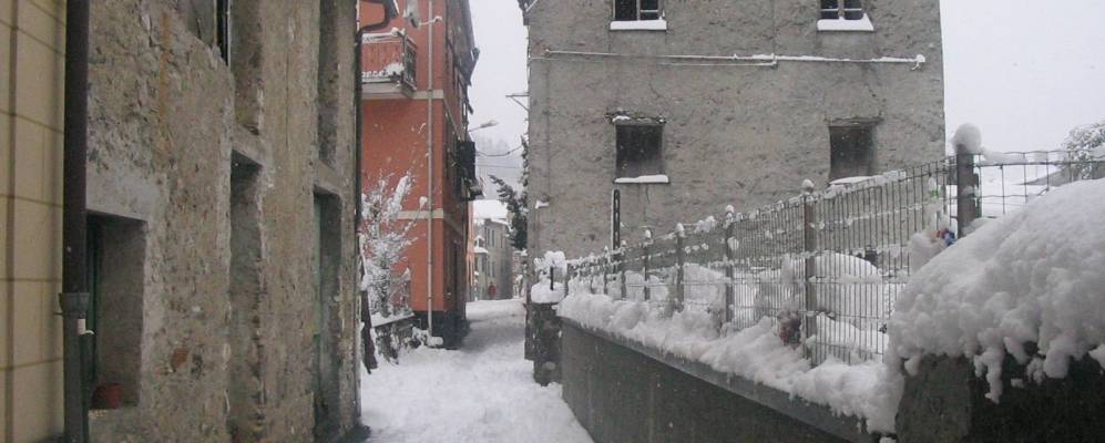 
            Фотография Чиканьы