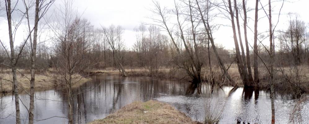 Фотография деревни Стрельцы-1