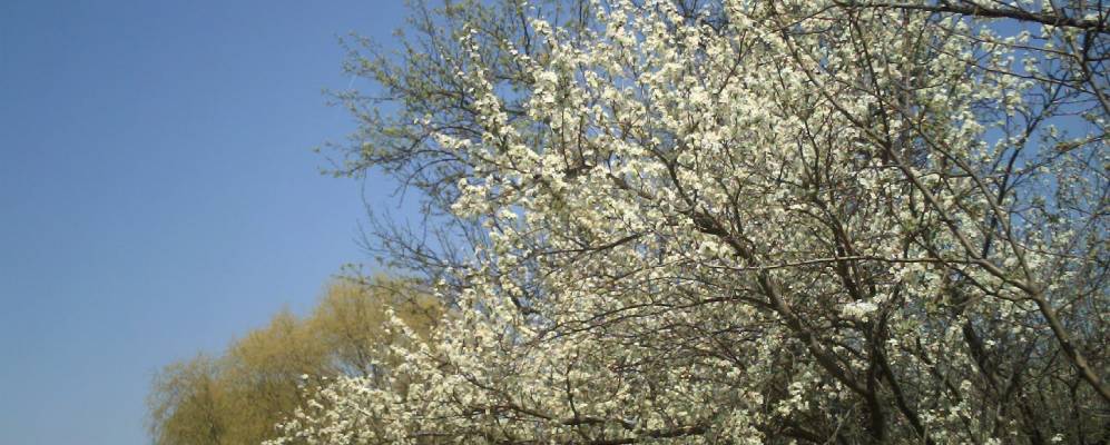 
            Фотография Потаповского