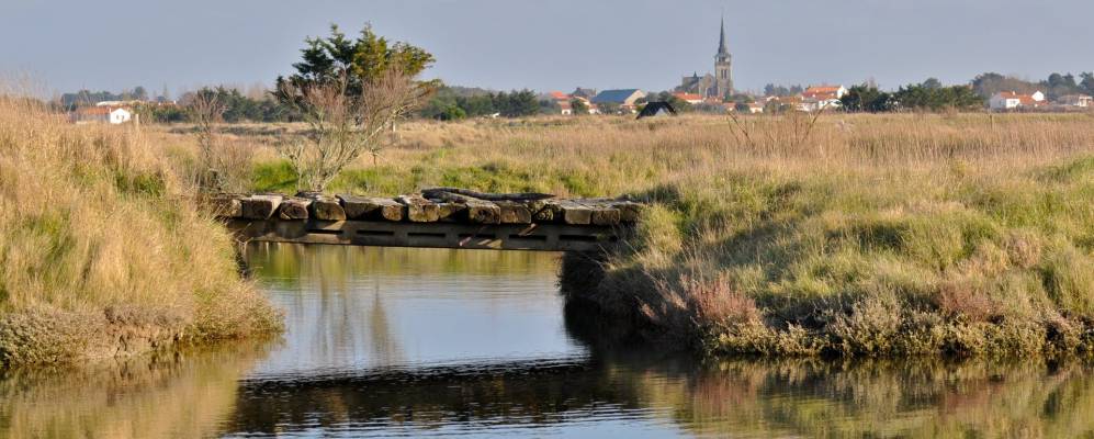 
            Фотография Олон-сюр-Мер