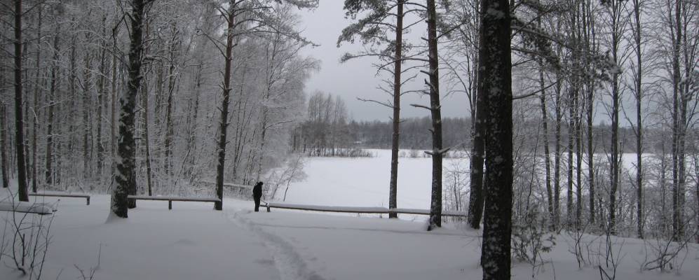 
            Фотография Межника