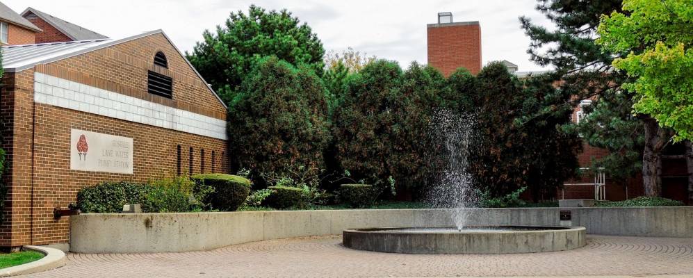 
            Фотография Розелла