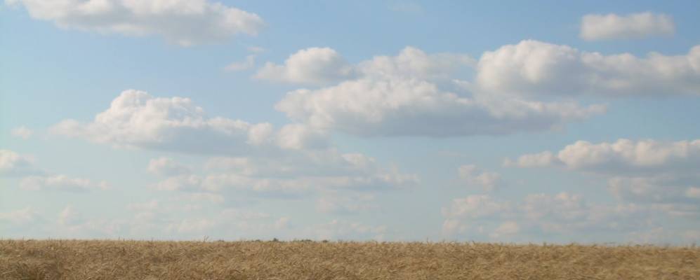 
            Фотография Городецских Выселок