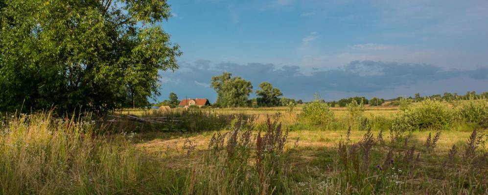 
            Фотография Марксово