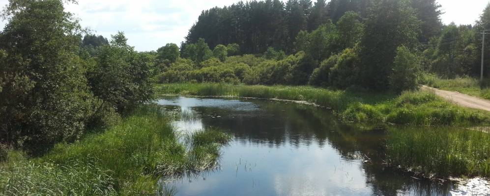 
            Фотография Череухино