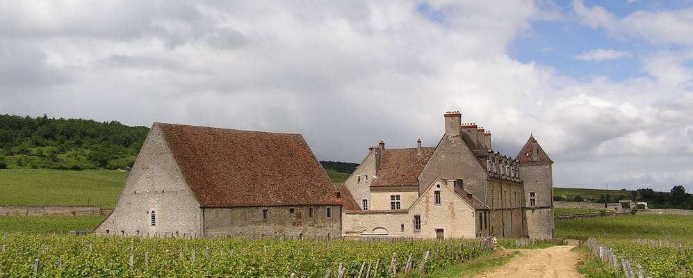 
            Фотография Вужо