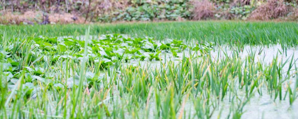 
            Фотография Куприяново