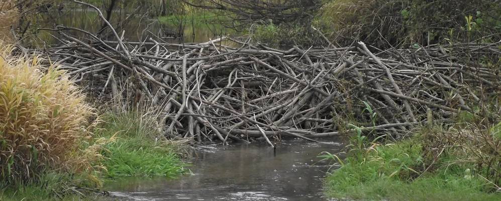 Фотография Карауловки