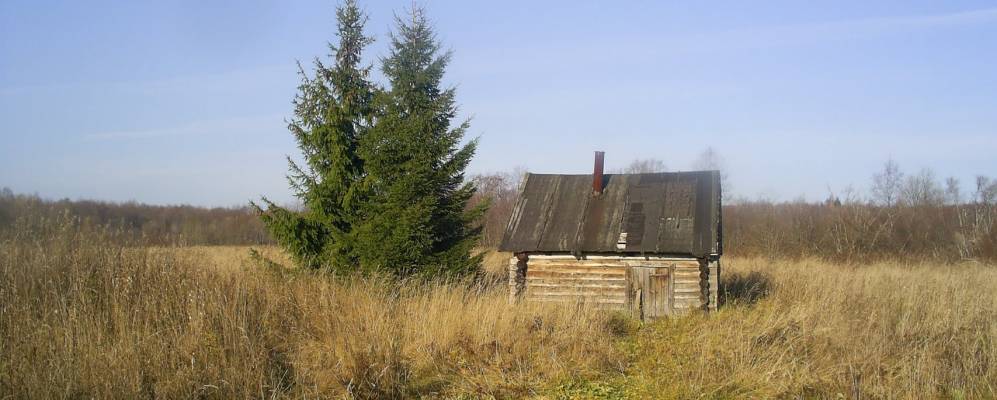 
            Фотография Селезнево