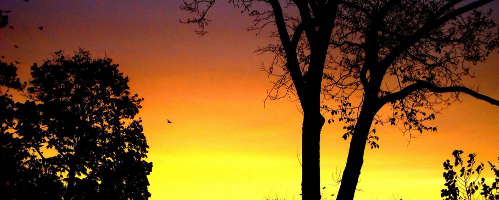 
            Фотография Трой