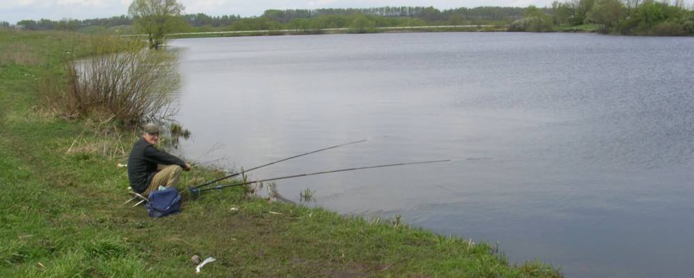 
            Фотография Богородицкого