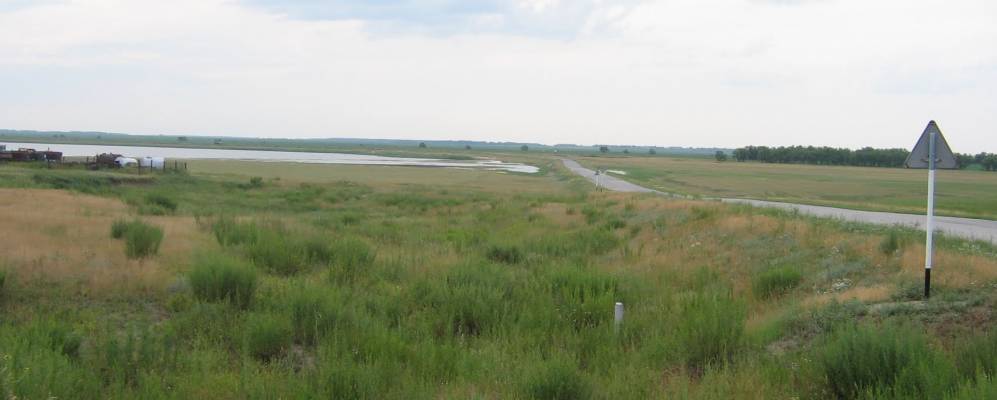 
            Фотография Яблоневки