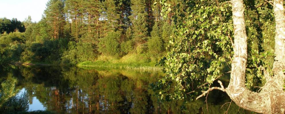 
            Фотография Игнатьево