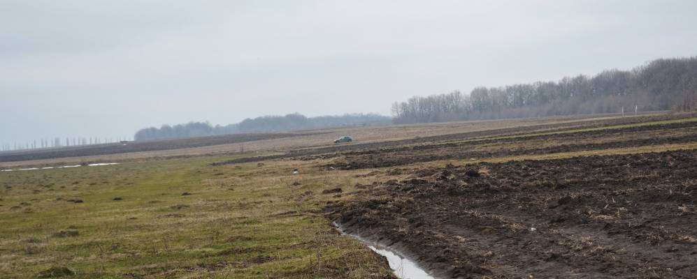 
            Фотография Волчинца