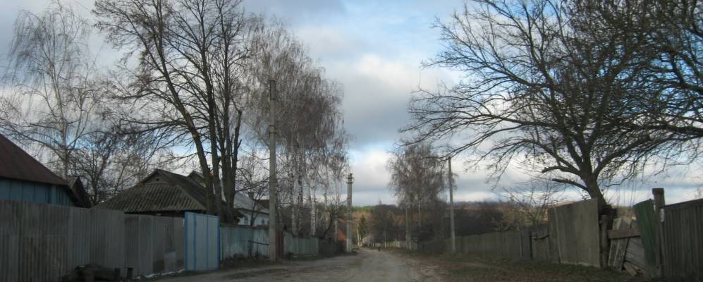 Фотография Журавного